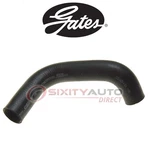 Gates Upper Radiator Coolant Hose 1995 Ford Club Wagon 4.9L L6 - Dy. Fixed Price $33.83.