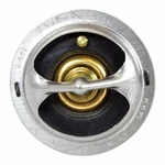 Genuine Ford Cap 8C2Z-9030-B. Fixed Price $25.01.